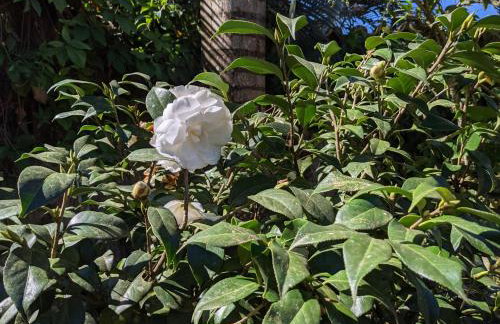 Mansão Colonial com Piscina - Casa Do Conto - Photo 10