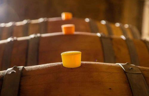 Mas du Notaire - Photo 52