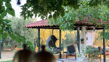 Villa Mihaila - Photo 5, Garden, Garden view