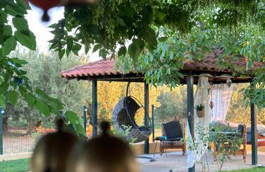 Villa Mihaila - Photo 5