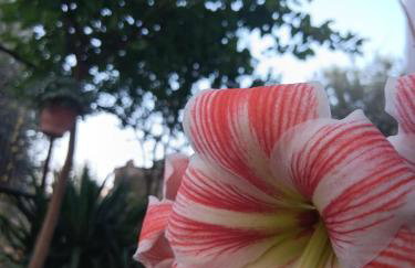 The Spring House - Foto 12