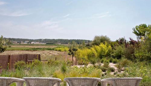 Cabana com Arte na Comporta - Foto 4, Garden view