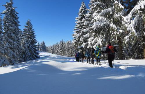 Schöne EinZimmer Wohnung Zwischen Bodensee und Allgäu - Foto 20