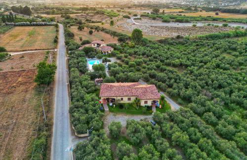 Armandiola - Foto 24