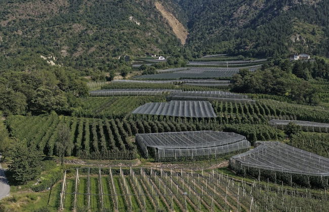 Residence Lahnhof, Laces - Photo 125