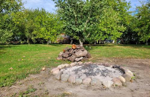 Agroturystyka Nowe Polaszki 10 - Foto 38