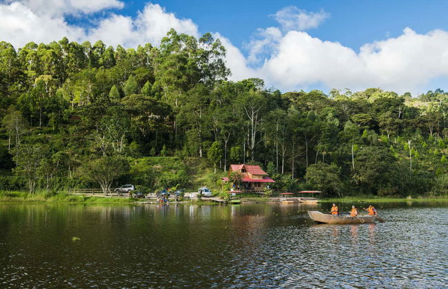 Tour del caffè a Villa Rica - Foto 5