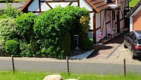 Ferienhaus Strandblume - Foto 2