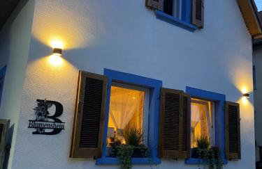 Ferienwohnung Blumenshein bei Speyer Karlsruhe Familienfreundlich 5 Pers - Photo 1