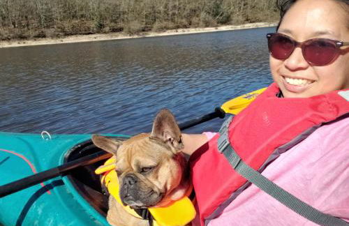 3 Apts Moulin SAGE - Foto 43