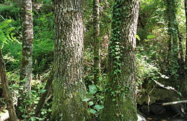 O Refúgio - Foto 71