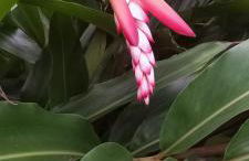 Espaço Isha Canelinha - Foto 27