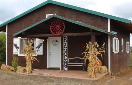 Ranch Mountain Cabin, Stunning! Campfire, Hiking - Foto 5