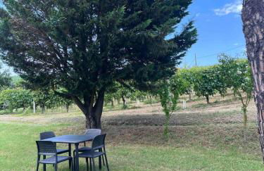 Appartamento Mansarda nel verde - Foto 13