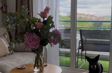 Apartamento en Mogro. La Pizca. - Foto 6