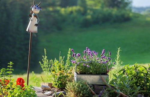 Ferienwohnung Roislerlehen - Foto 7