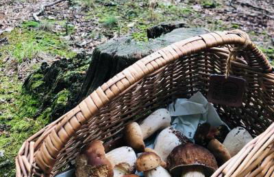 L’Atelier de Gustave - Foto 53