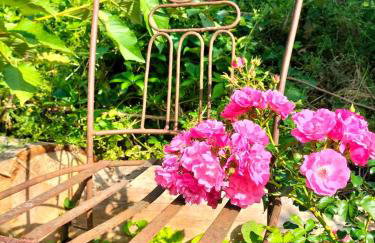 Maison de vacances Ana Maria - Photo 18