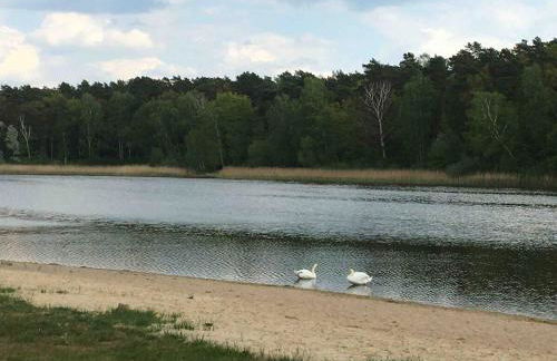 Ferienhäuschen in Beetz - in 5 min am See und Wald - Foto 23