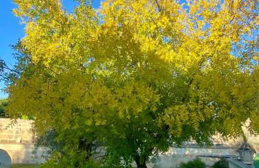 Masseria Montanari - Foto 8