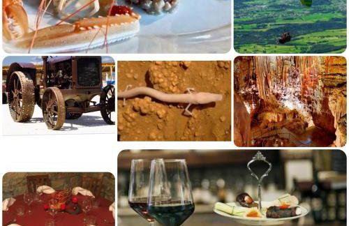 Apartman Perci Vrh - Foto 37