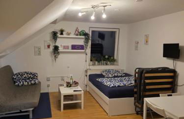 Business-Travel-Apartment & Ferienwohnung Münster, Check-In von 15 bis 22 Uhr möglich - Foto 1