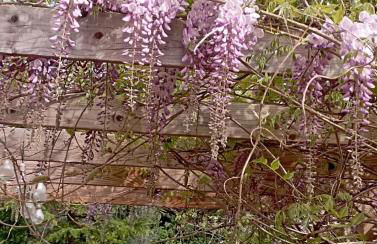 Rustic hillside stone-Rustico in pietra - Foto 21