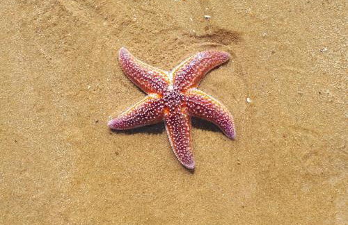 Appartement LES PIEDS DANS L'EAU - Foto 32