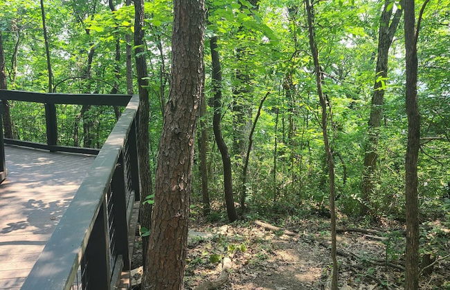 The Treetop Hideaways at Ruby Falls - Photo 14