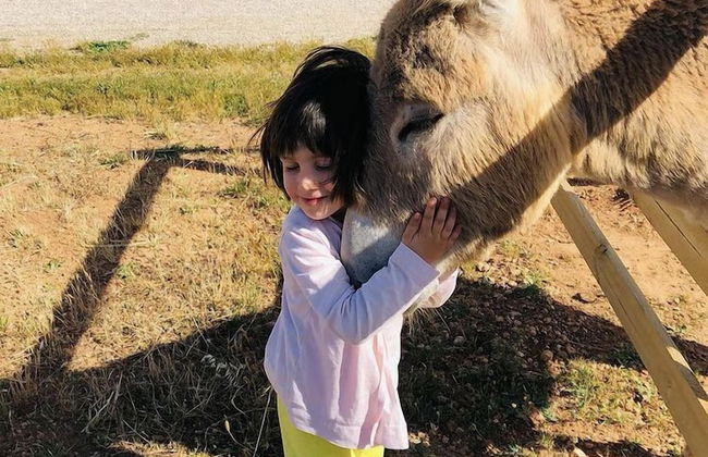 Agriturismo Masseria Galatea - Photo 15