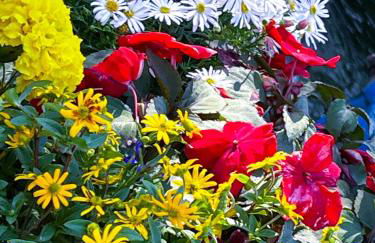 Apartment Mary Mehlmeisel - Foto 31