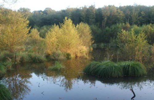 Gîte en pleine nature avec Wifi, animaux acceptés - FR-1-489-122 - Foto 31