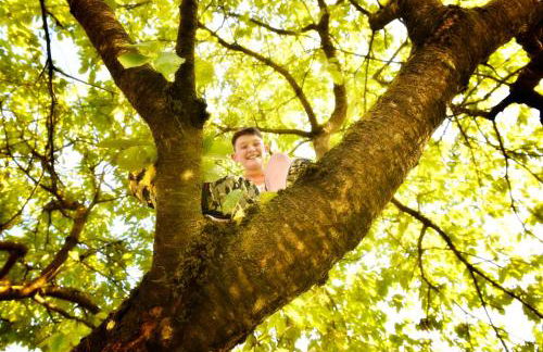 Residenza Scoiattolo - Photo 14