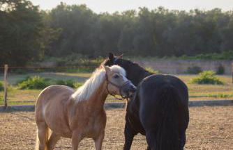 Villetta Lu Sule - Foto 18