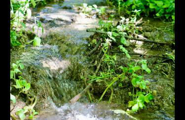 Manoir des Pavements - Photo 20