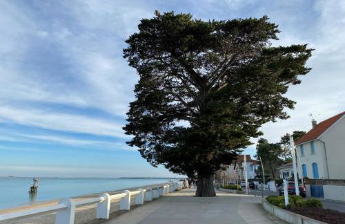 Maison Vert d'Eau - Foto 25