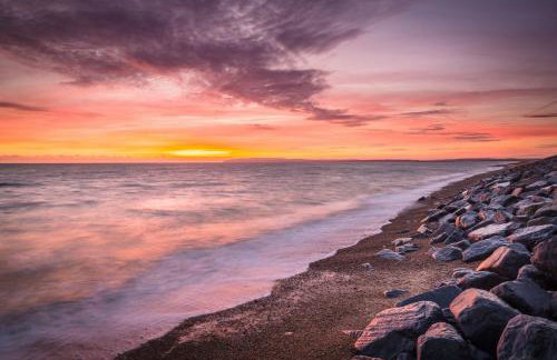 The Surf Shack - Photo 22