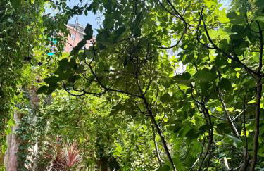 Franca's apartment - Foto 18