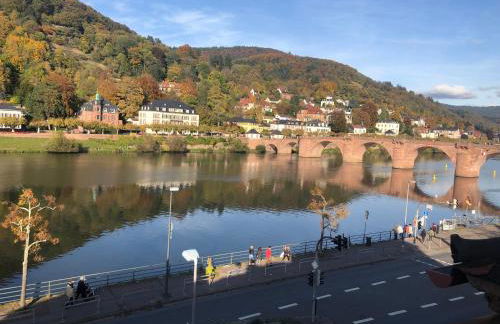 Philosophen und Neckarblick Apartment - Foto 14