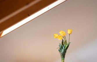 Die Villa bei Meran - Foto 9