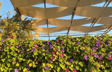 Il Giardino Nascosto - Foto 26
