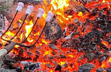 Gites Le Grand Tornage holiday fun for the whole family - Photo 19