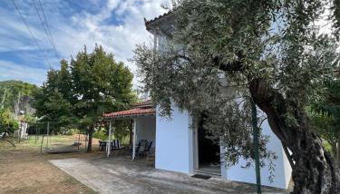 Elios Summer House - Foto 2, Garden, Garden view