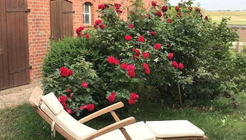 Fachwerk-Fischerhaus an Elbe und Aland - Foto 1, Garden, sunbed, Garden view