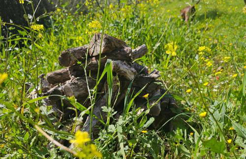 Peloponnese Hideout - Traditional stone house - Photo 72