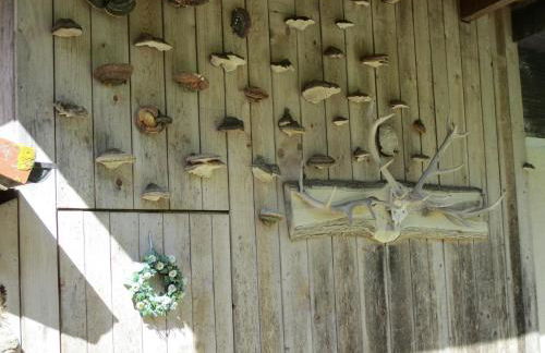 Ferienwohnung Zweilinden - Foto 20