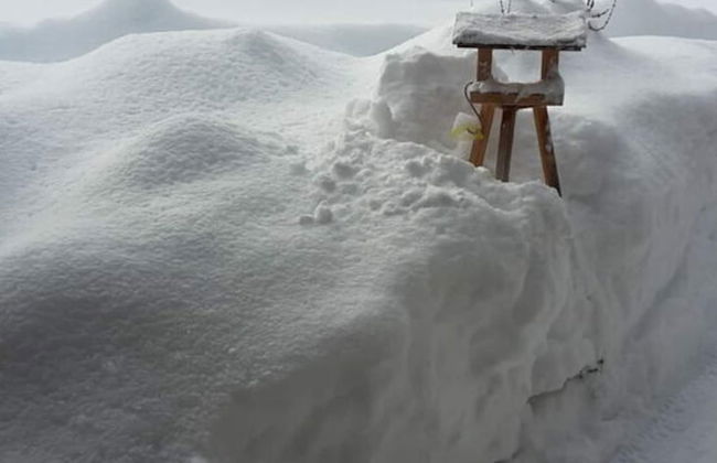 Holiday Apartment Maurer Apartment Laber - Foto 11