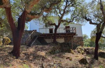 Casa do Pássaro - Photo 10