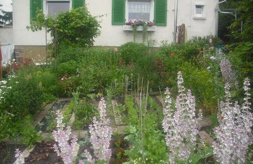 Freilandhof - Foto 12