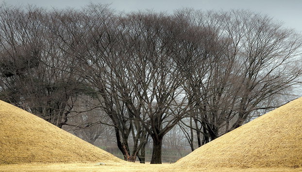 Histoire coréenne et patrimoine mondial de l'UNESCO - Visite privée - Photo 2